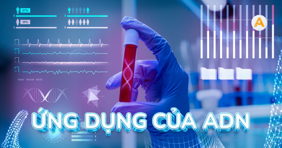 Ứng Dụng Của Adn