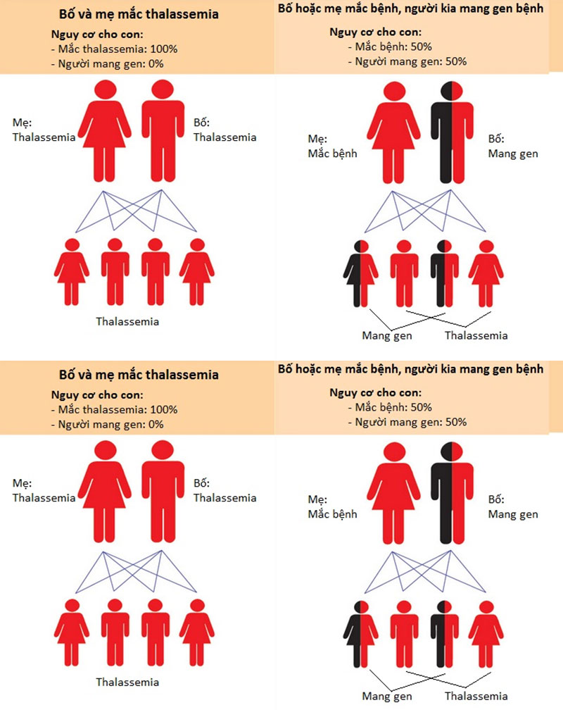 Cơ chế di truyền bệnh thalassemia từ cha mẹ sang con cái