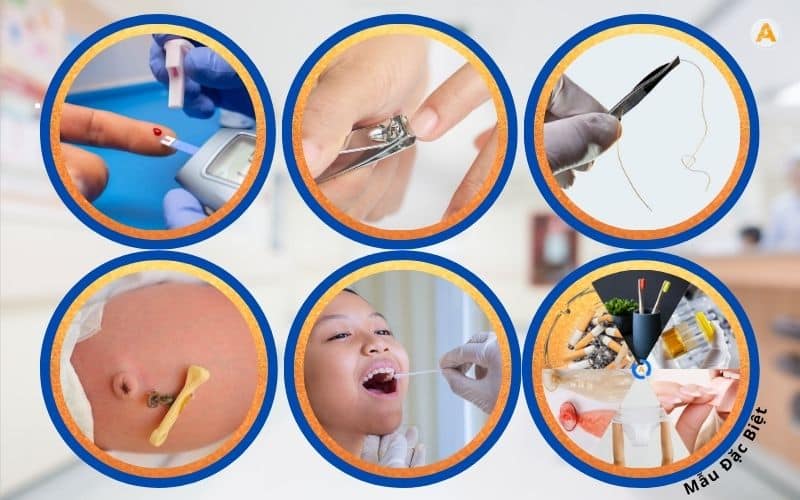 mẫu đặc biệt làm xét nghiệm ADN